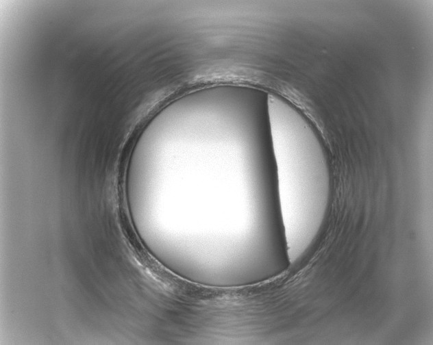 X0000066500578200603170952