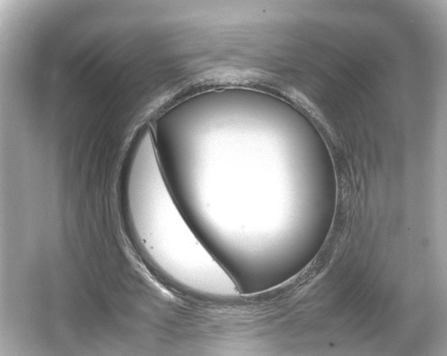 X0000066500581200603170952