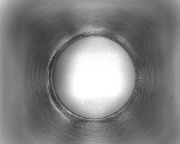 X0000066500582200603170952