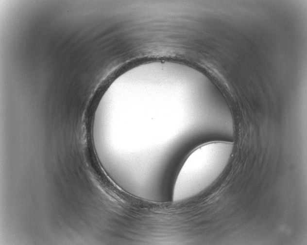 X0000066500584200603170952