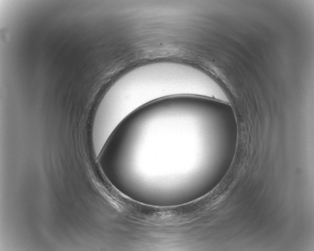 X0000066500589200603170952