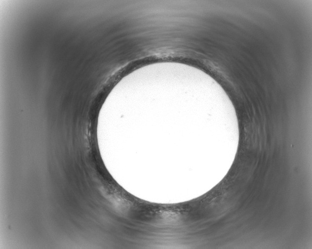 X0000066500592200603170952