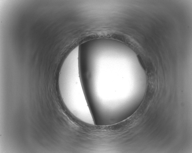 X0000066500593200603170952
