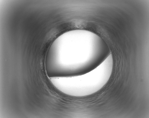 X0000066500595200603170952
