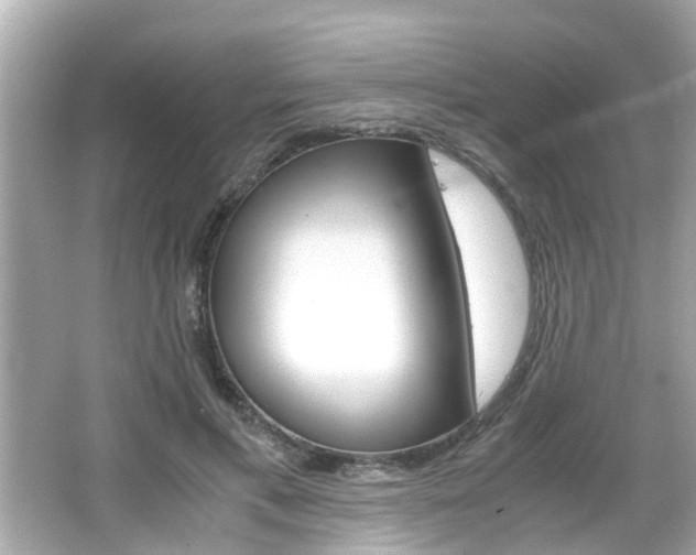 X0000066500597200603170952