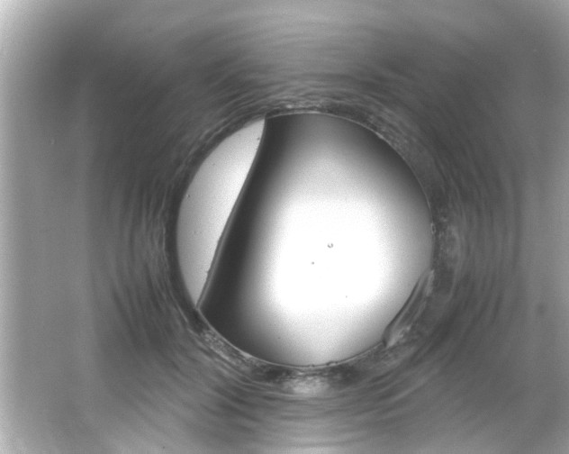 X0000066500604200603170952