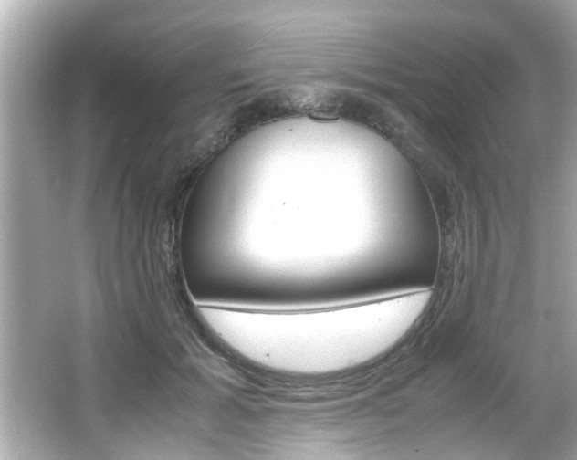 X0000066500605200603170952