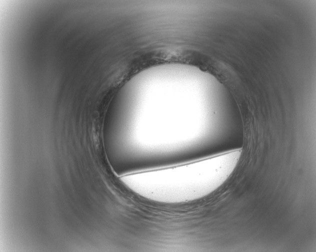 X0000066500607200603170952