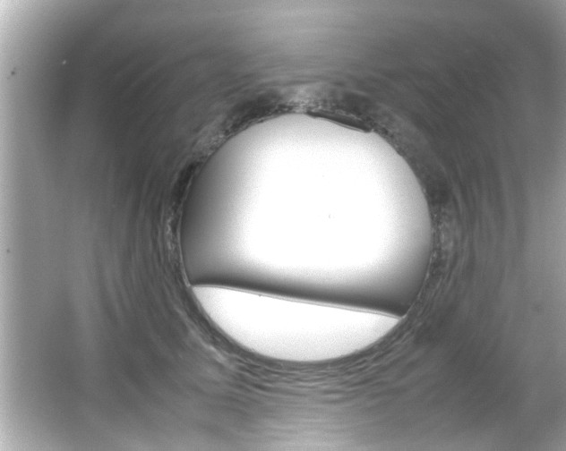 X0000066500611200603170951