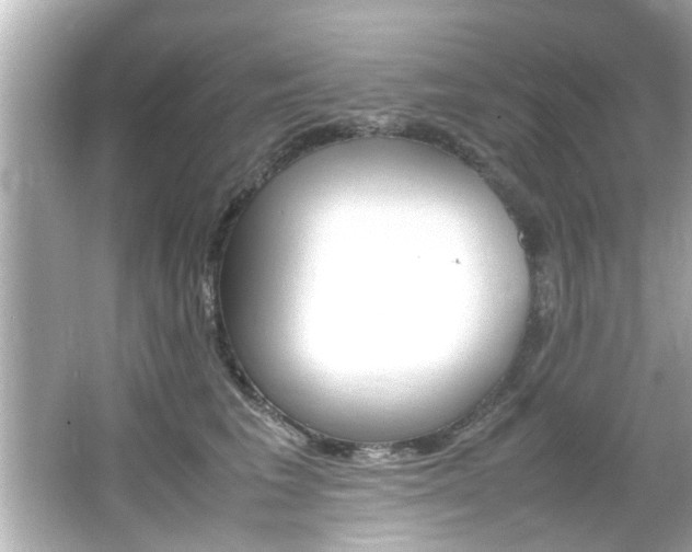 X0000066500613200603170951