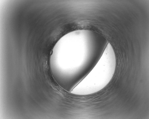 X0000066500615200603170951