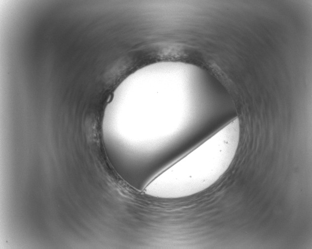 X0000066500619200603170951