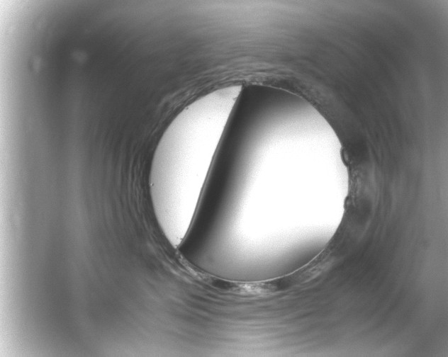 X0000066500623200603170951