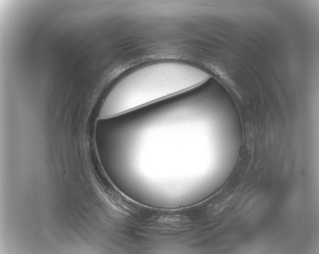 X0000066500631200603170951