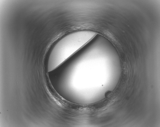 X0000066500634200603170951