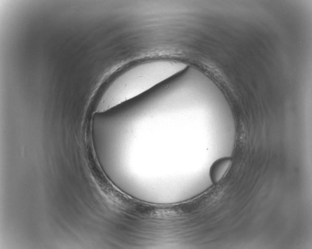 X0000066500636200603170951