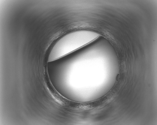 X0000066500638200603170951