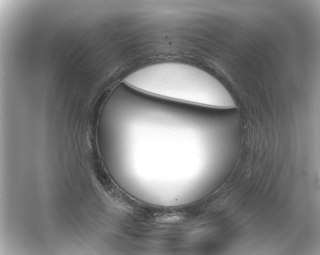 X0000066500643200603170951