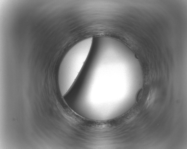 X0000066500646200603170951
