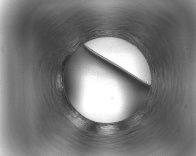 X0000066500669200603170951