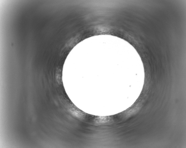 X0000066500672200603170951