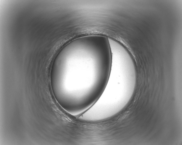 X0000066500673200603170950