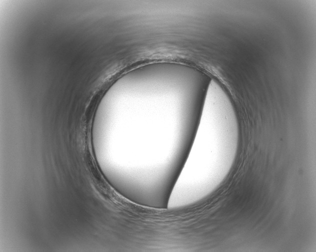 X0000066500675200603170950