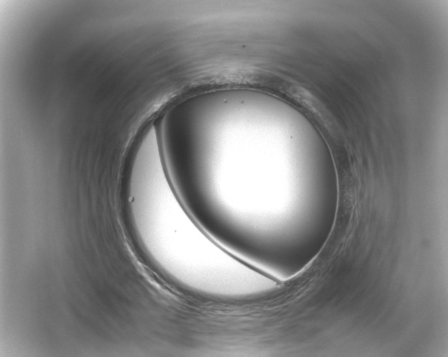 X0000066500677200603170950