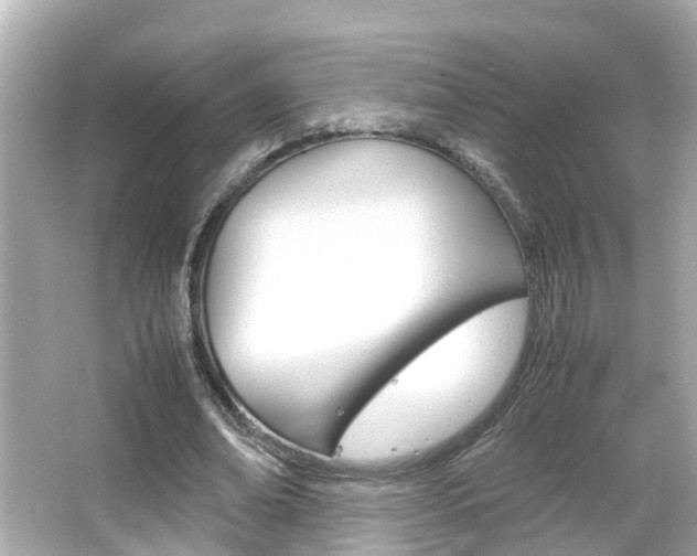 X0000066500678200603170950