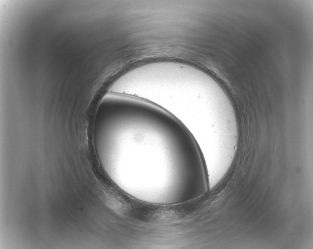 X0000066500685200603170950