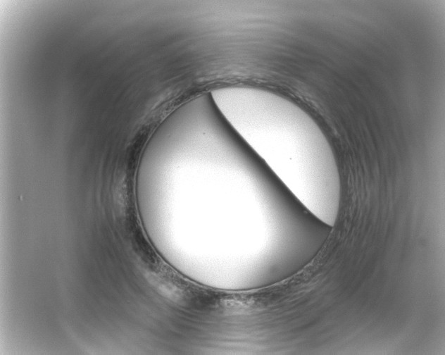 X0000066500690200603170950