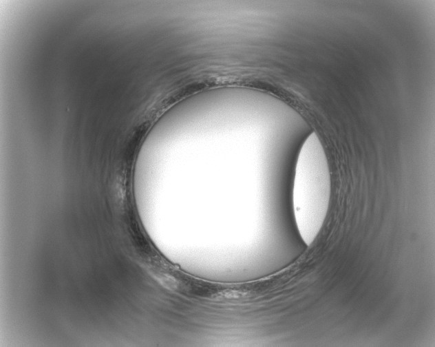 X0000066500691200603170950