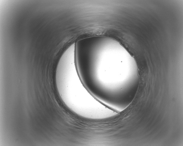 X0000066500693200603170950