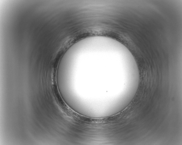 X0000066500694200603170950