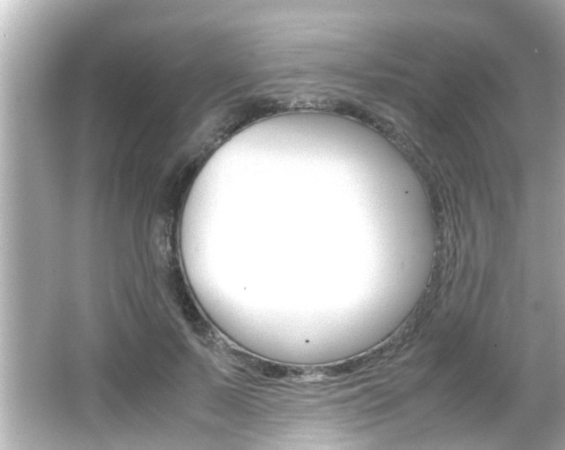 X0000066500695200603170950