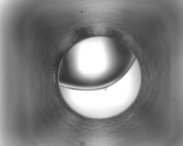 X0000066500697200603170950
