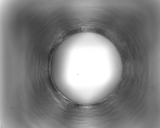 X0000066500698200603170950