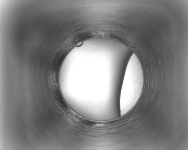 X0000066500699200603170950