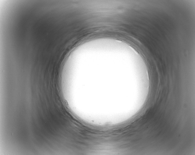 X0000066500701200603170950