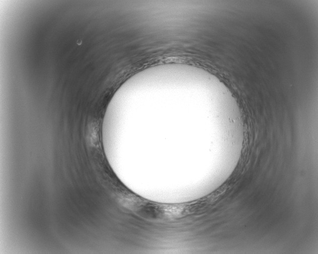 X0000066500709200603170950