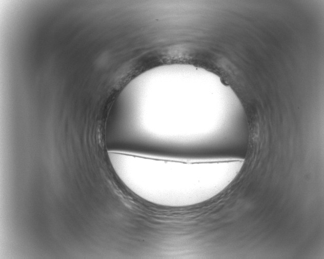 X0000066500715200603170950