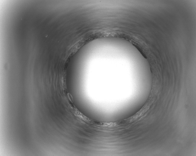X0000066500720200603170950