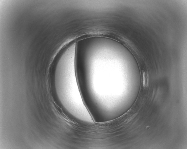X0000066500723200603170949