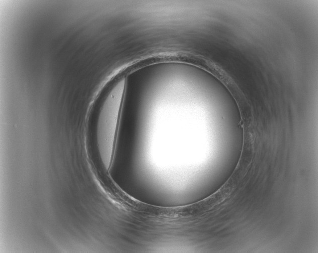 X0000066500728200603170949