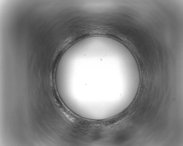 X0000066500729200603170949
