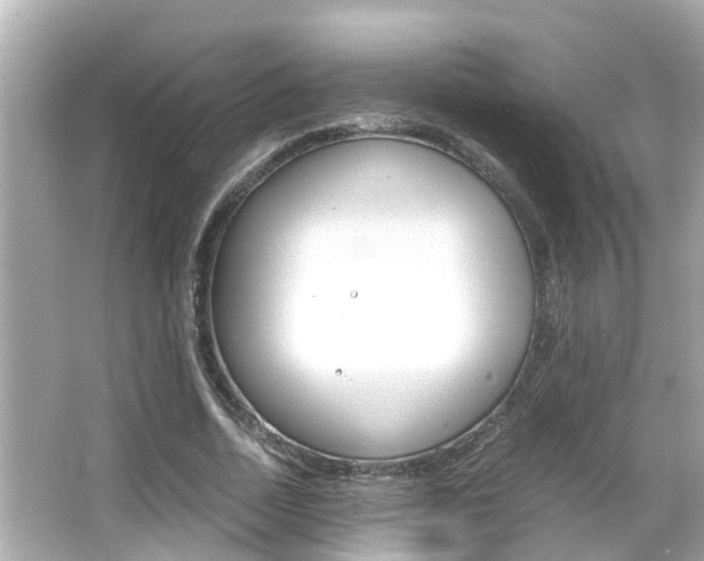 X0000066500730200603170949