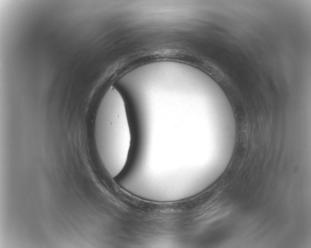 X0000066500734200603170949
