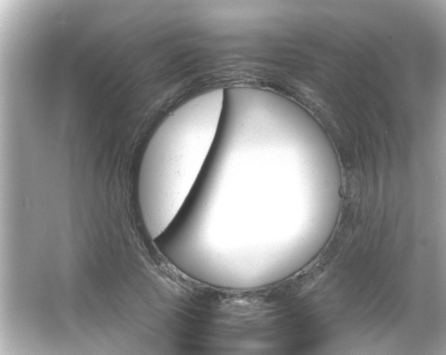 X0000066500737200603170949
