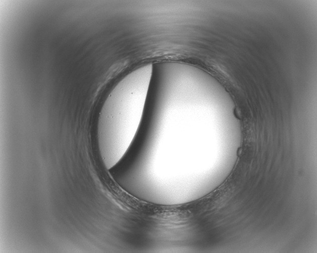 X0000066500738200603170949