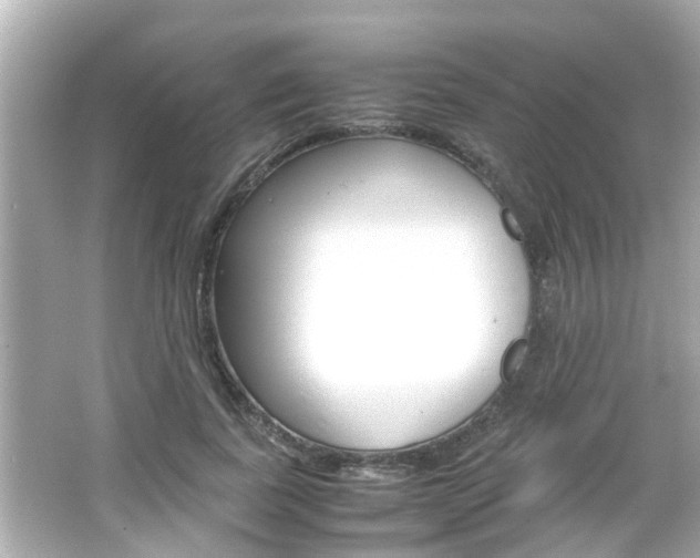 X0000066500739200603170949